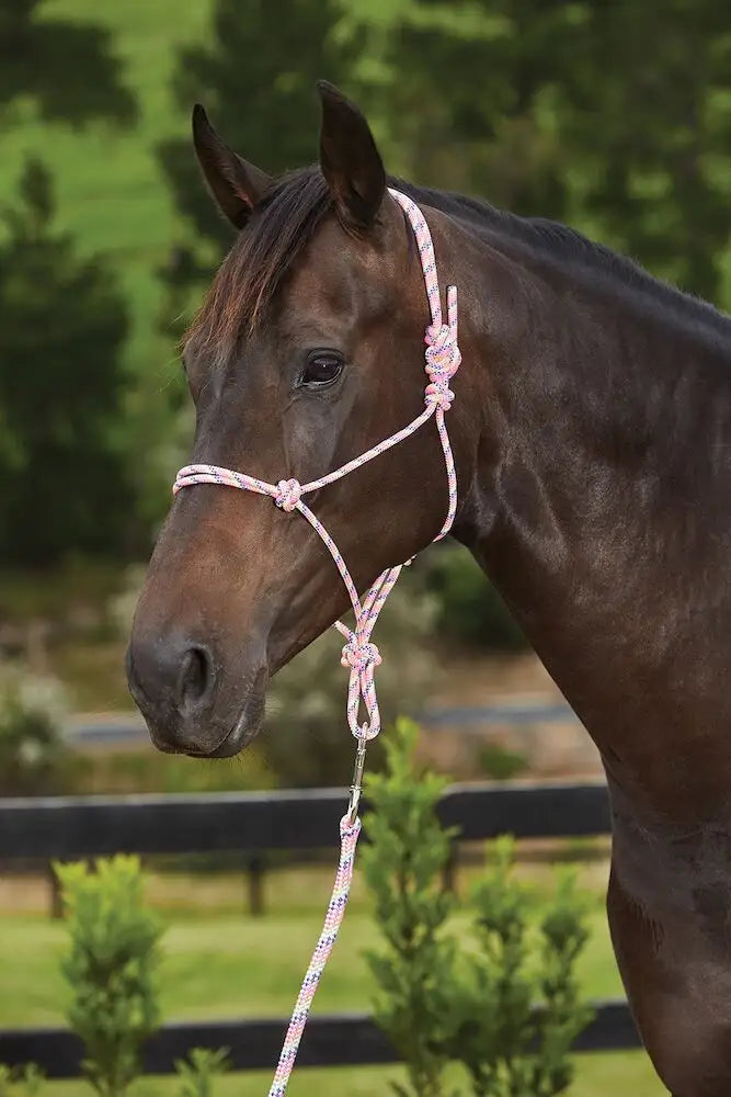 Roma Rainbow Halter/Lead Set