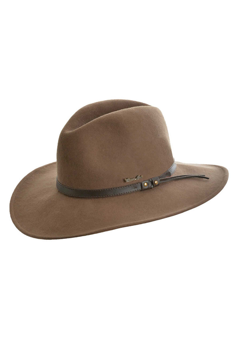 Brown best sale thomas hats