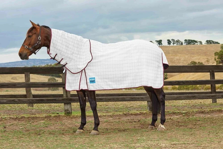 Refroidisseur D'aiguillage Kool Coat - Taille 6'0" - Utilisé 1 Fois