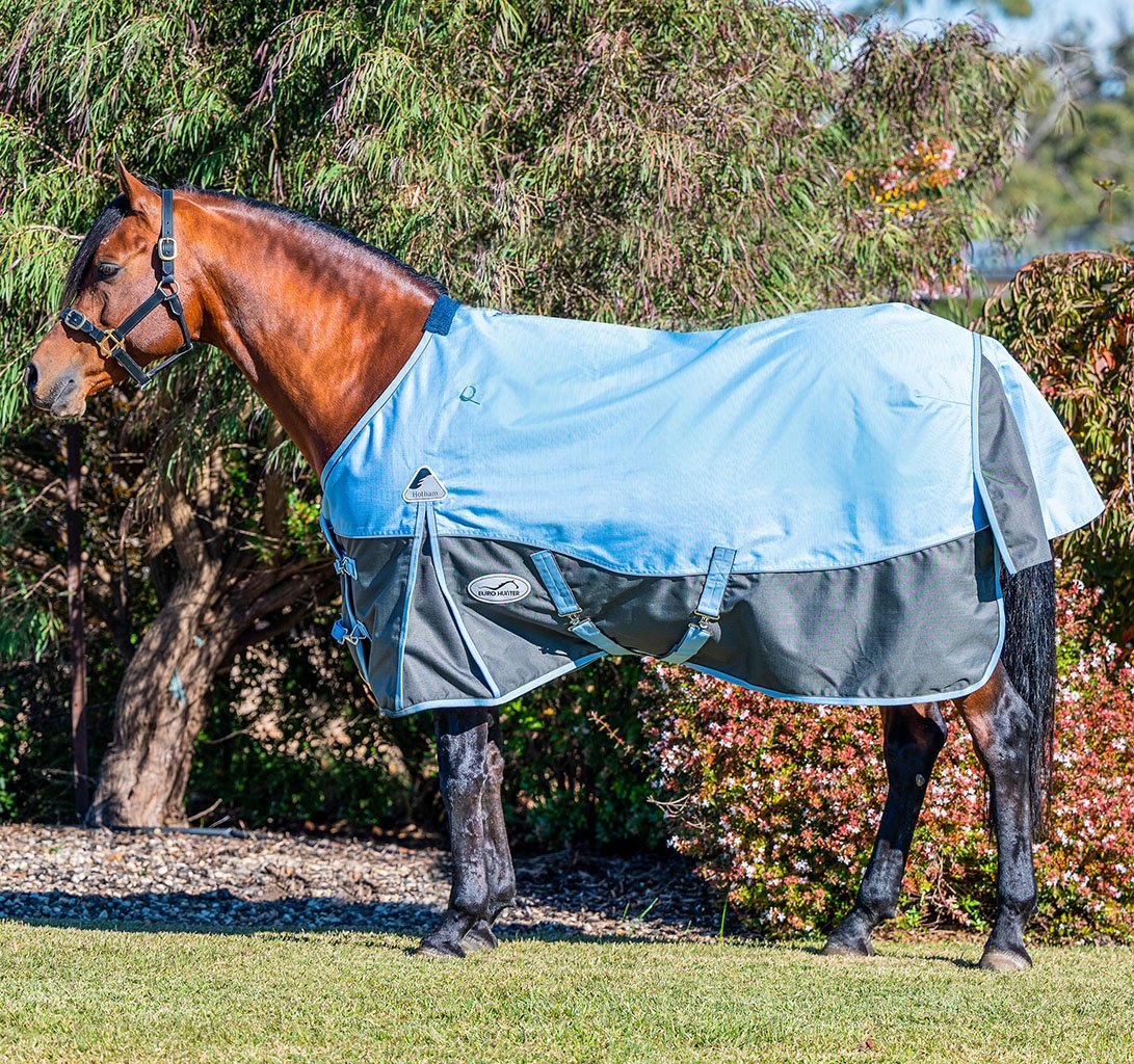 Spring Rugs