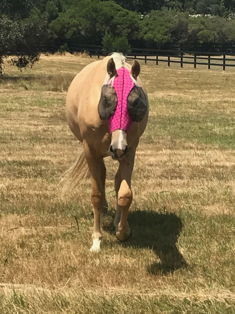 Fly Masks & Fly Boots
