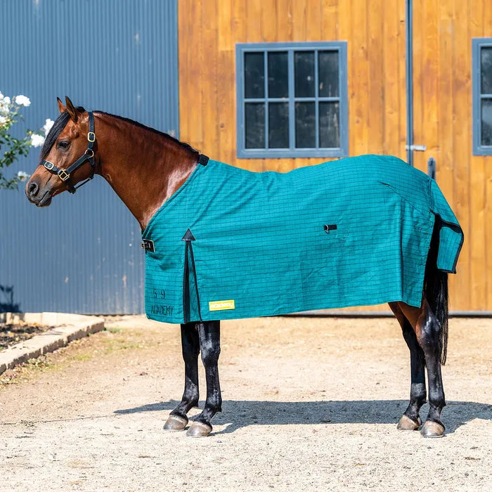 Object Rug Foal Canvas Horse Rugs - Deluxe & Lined Rugs – The Tack Box Saddleworld