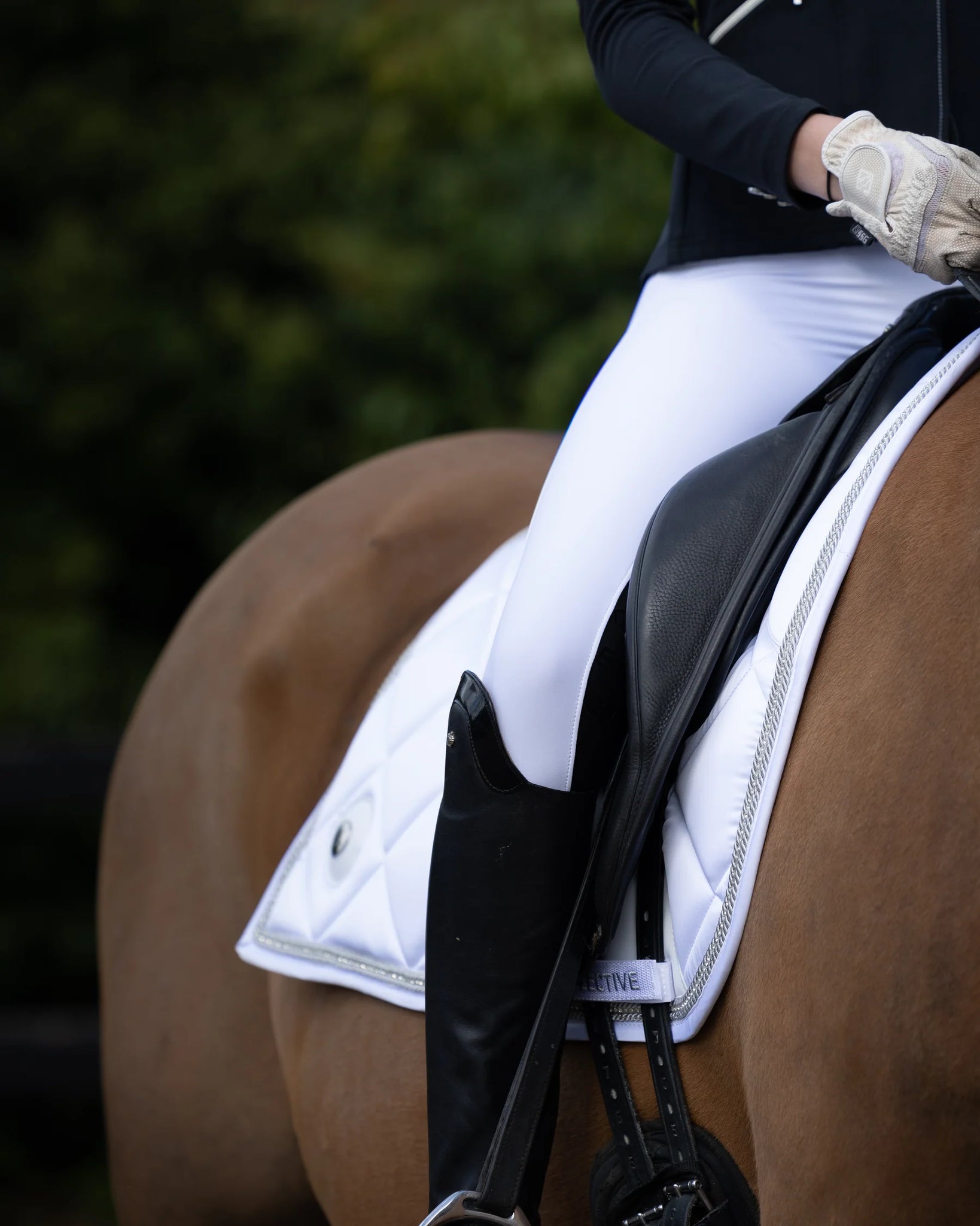JNK Competition Tights