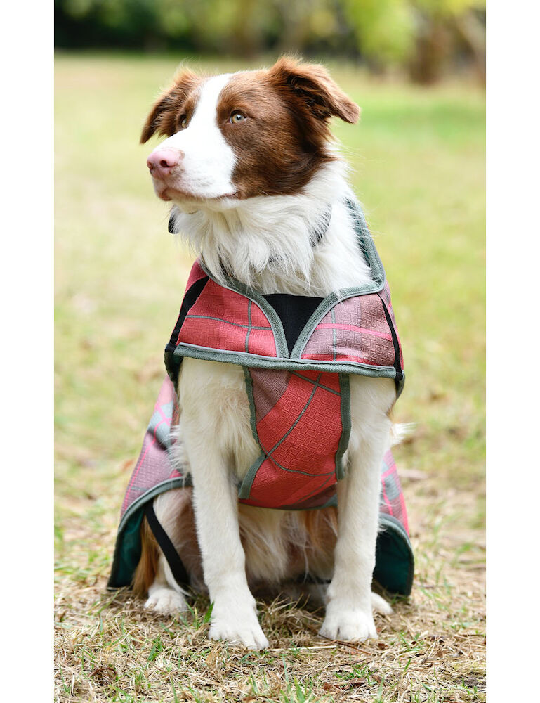 Weatherbeeta ComFiTec Premier Free Parka Deluxe Dog Coat Medium