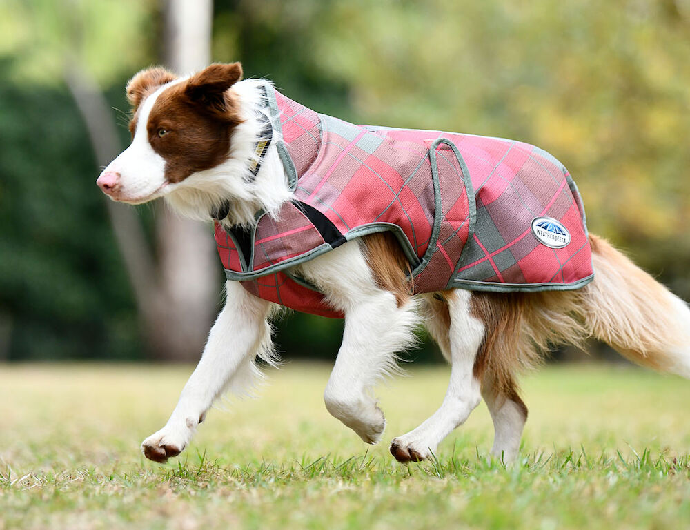 Weatherbeeta ComFiTec Premier Free Parka Deluxe Dog Coat Medium