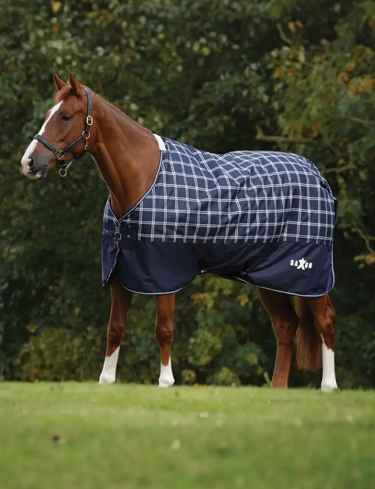 Saxon Defiant Lite Rug