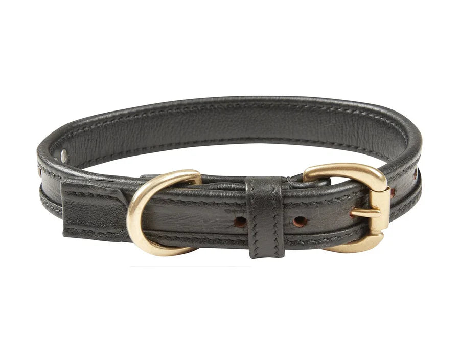 Dog Collars & Leads - The Tack Box Saddleworld