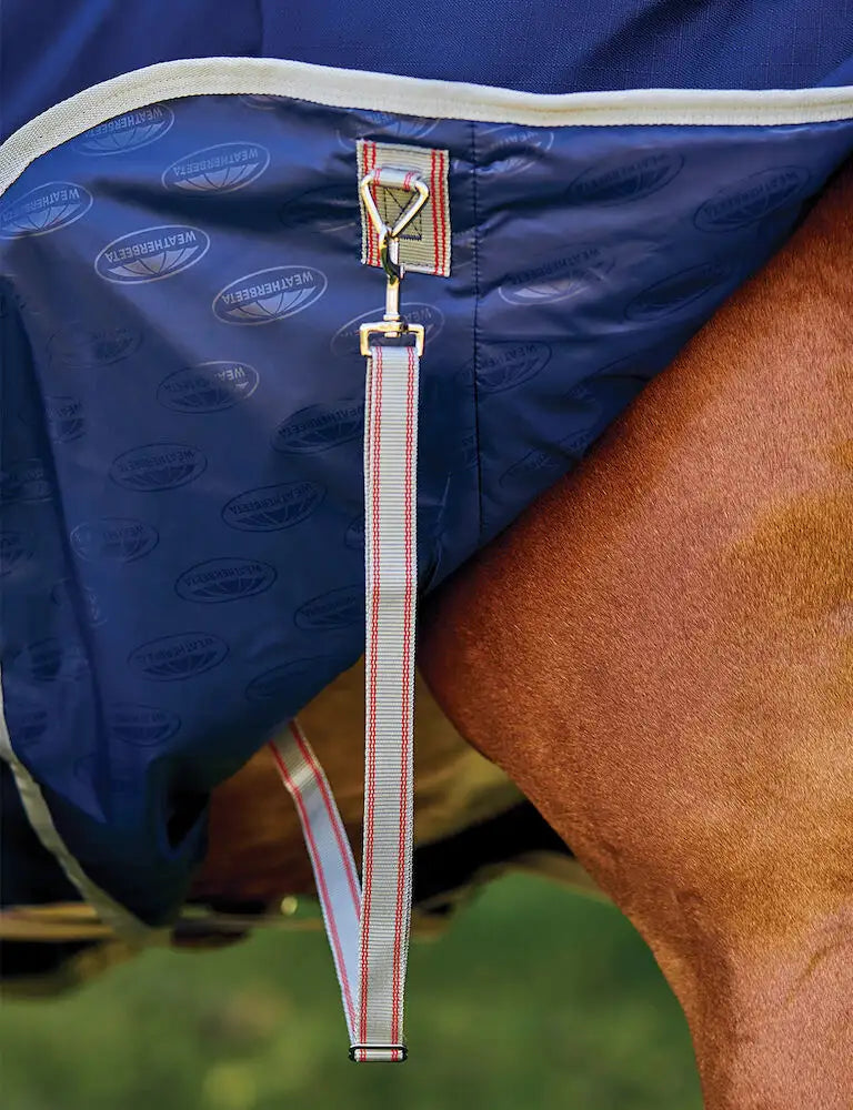 Weatherbeeta Comfitec Essential Plus Detach-a-Neck Medium