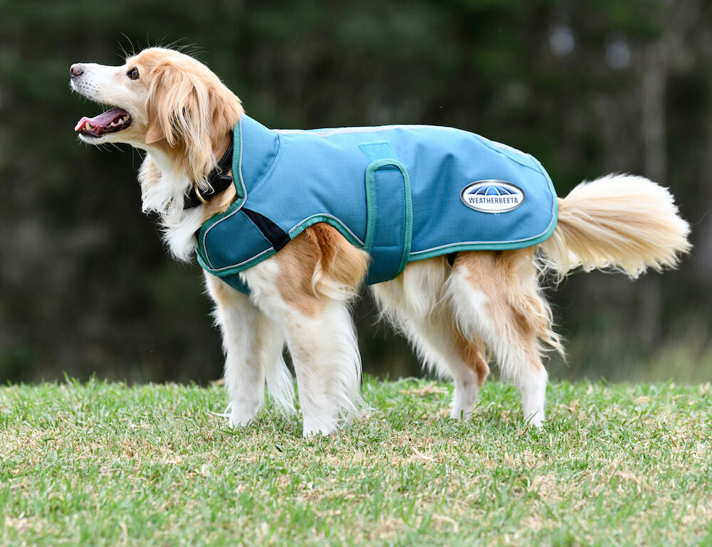 Weatherbeeta Green-Tec 1200D Parka Deluxe Dog Coat Medium