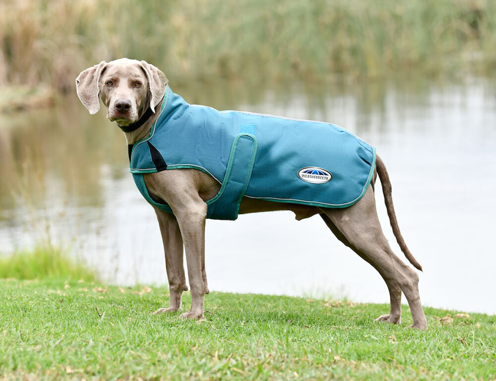 Weatherbeeta Green-Tec 1200D Parka Deluxe Dog Coat Medium