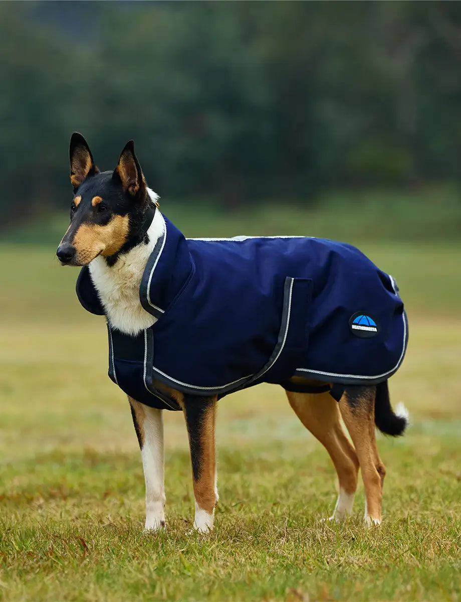 Weatherbeeta ComFiTec 1200D Deluxe Waterproof Dog Rug – The Tack Box ...