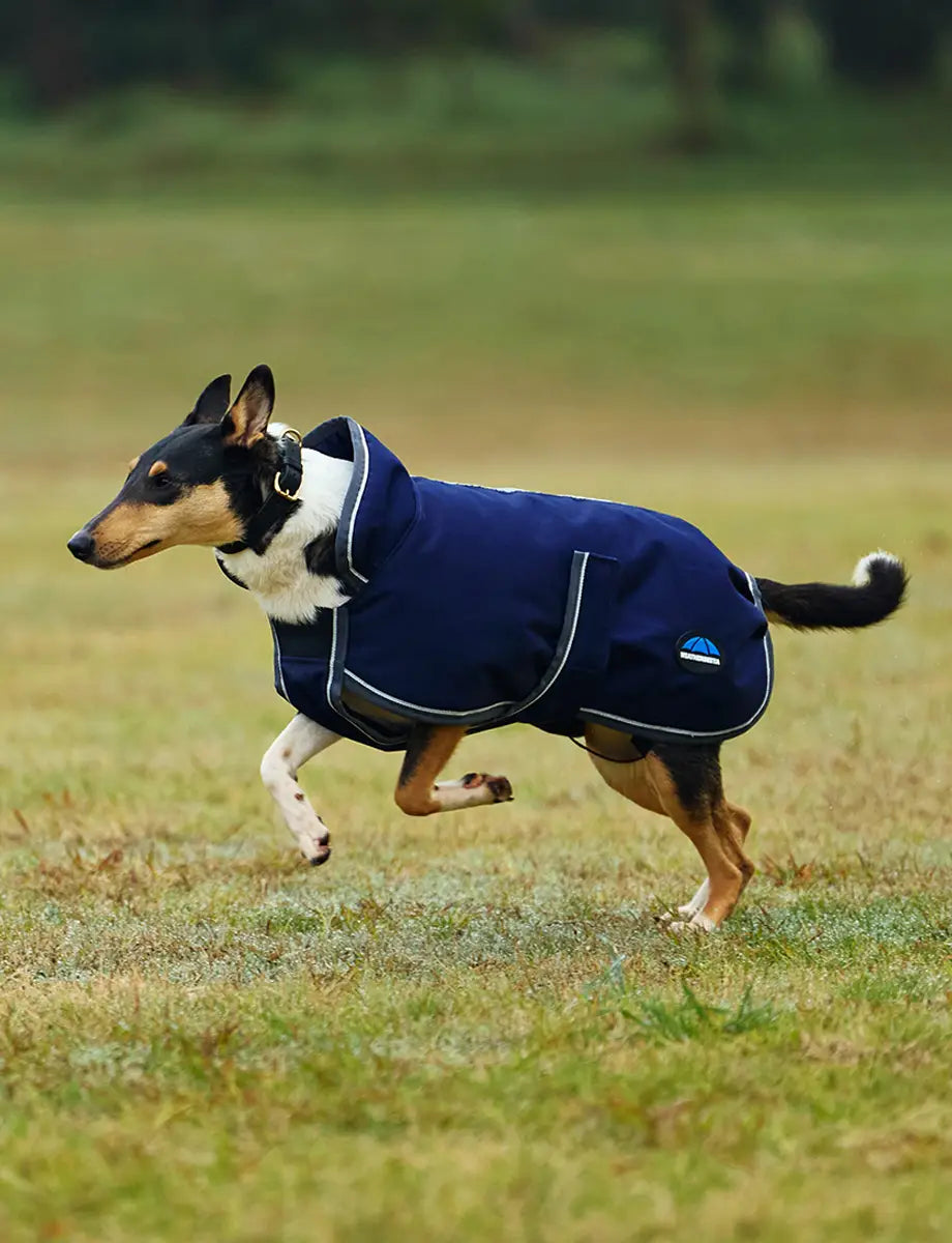 Waterproof Dog Rug Weatherbeeta ComFiTec 1200D Deluxe Waterproof Dog Rug – The Tack Box ...