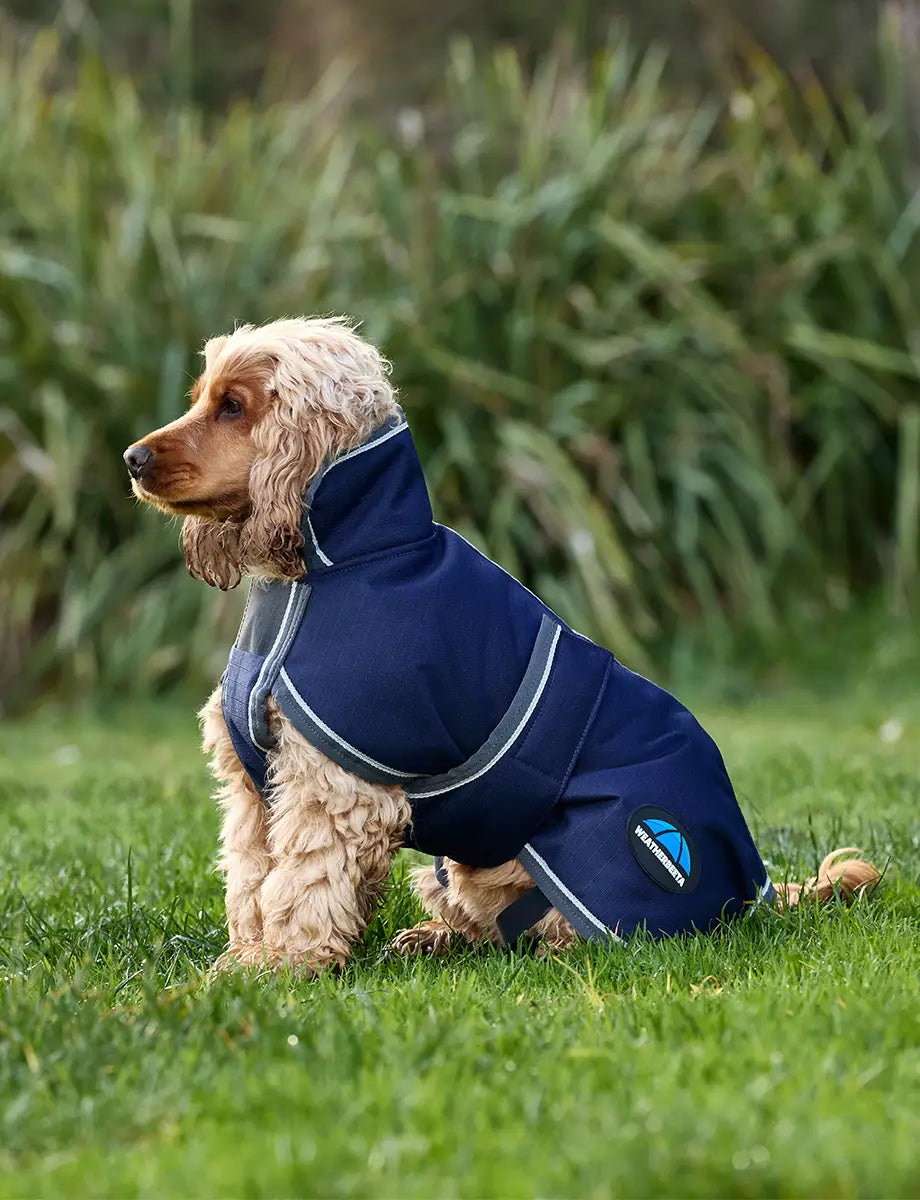 Waterproof Dog Rug Weatherbeeta ComFiTec 1200D Deluxe Waterproof Dog Rug – The Tack Box ...