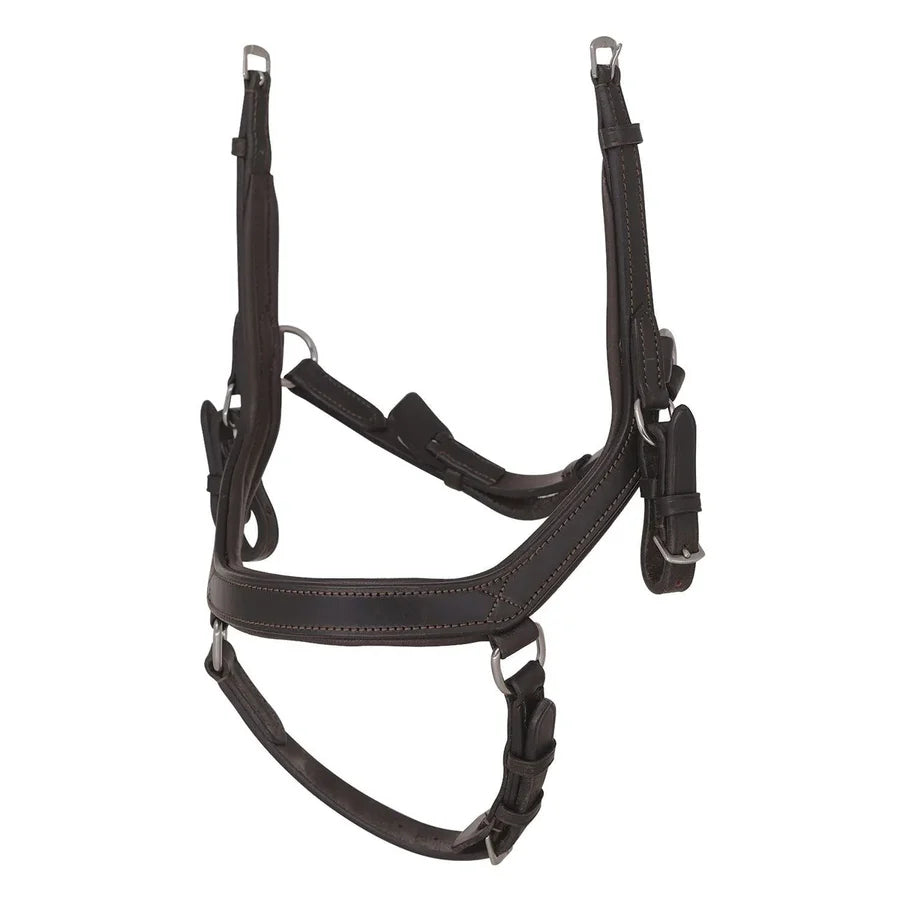 Ffe Allura Comfort Bridle
