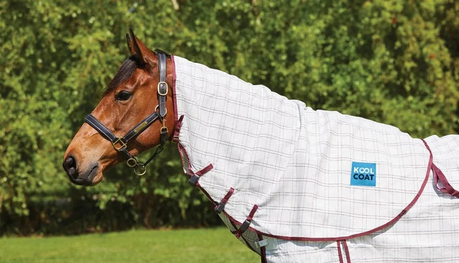 Kool Coat Cotton Neck Rug