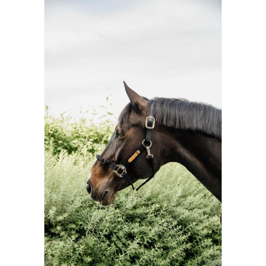 Kentucky Horsewear Control Halter