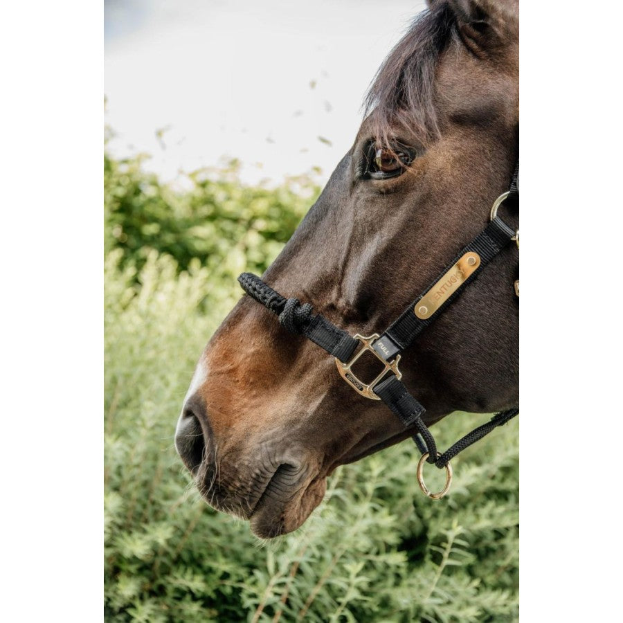 Kentucky Horsewear Control Halter