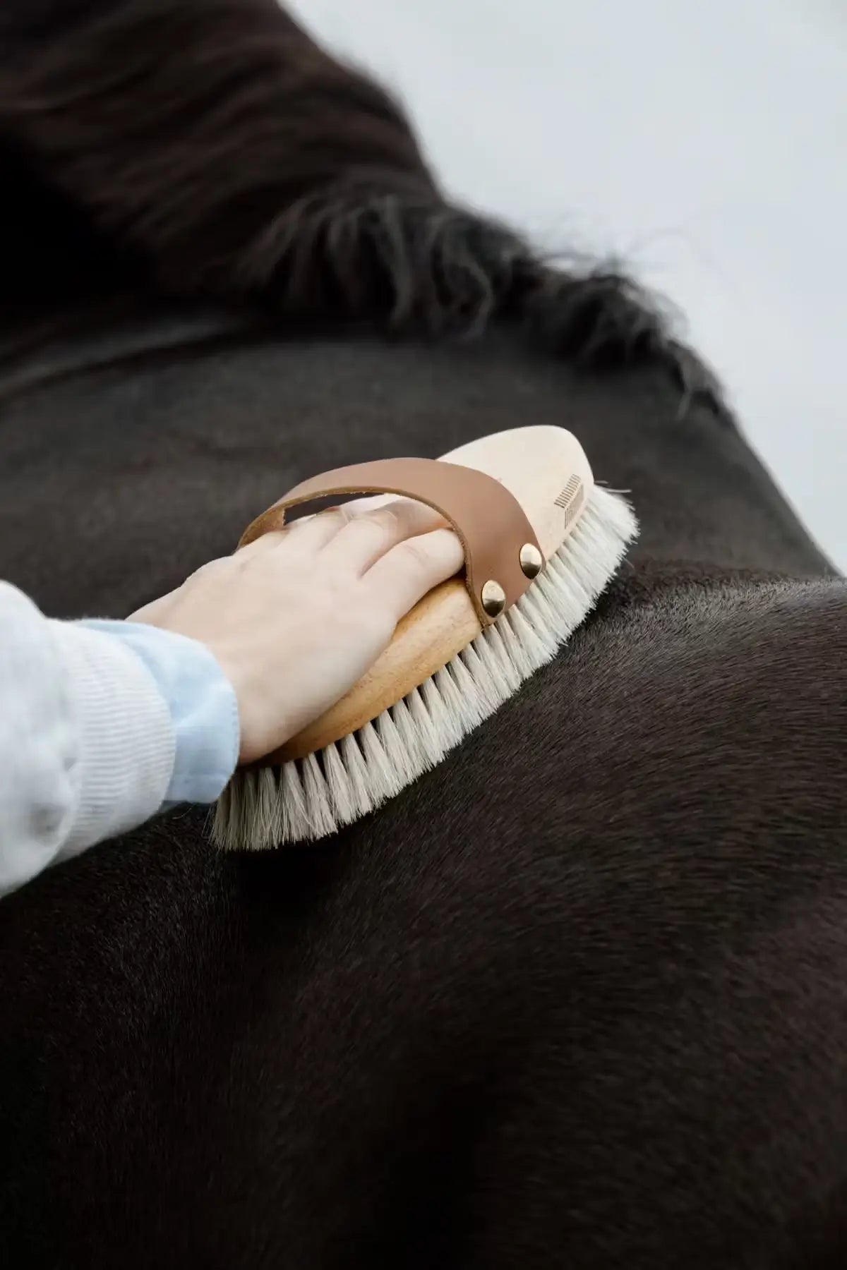 Kentucky Overall Body Brush