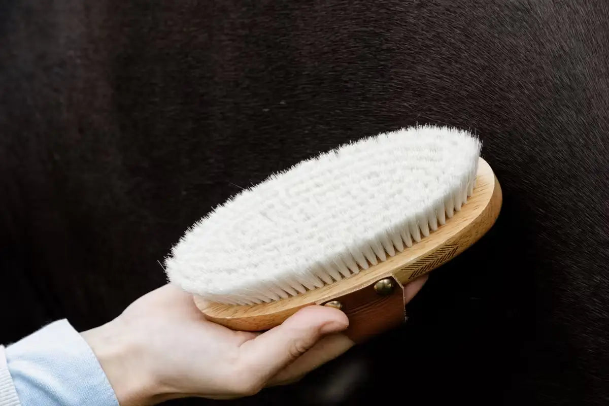 Kentucky Small Body Brush