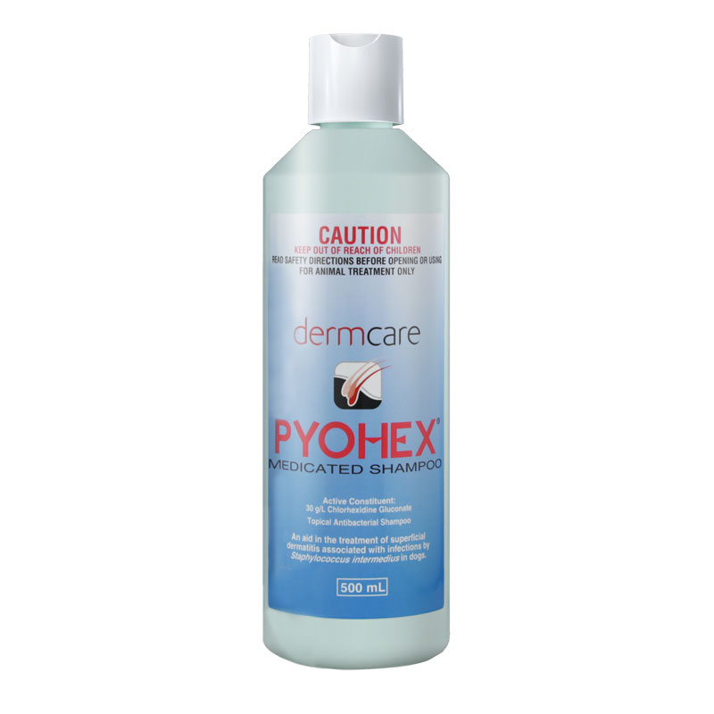 Dermacare Pyohex Shampoo