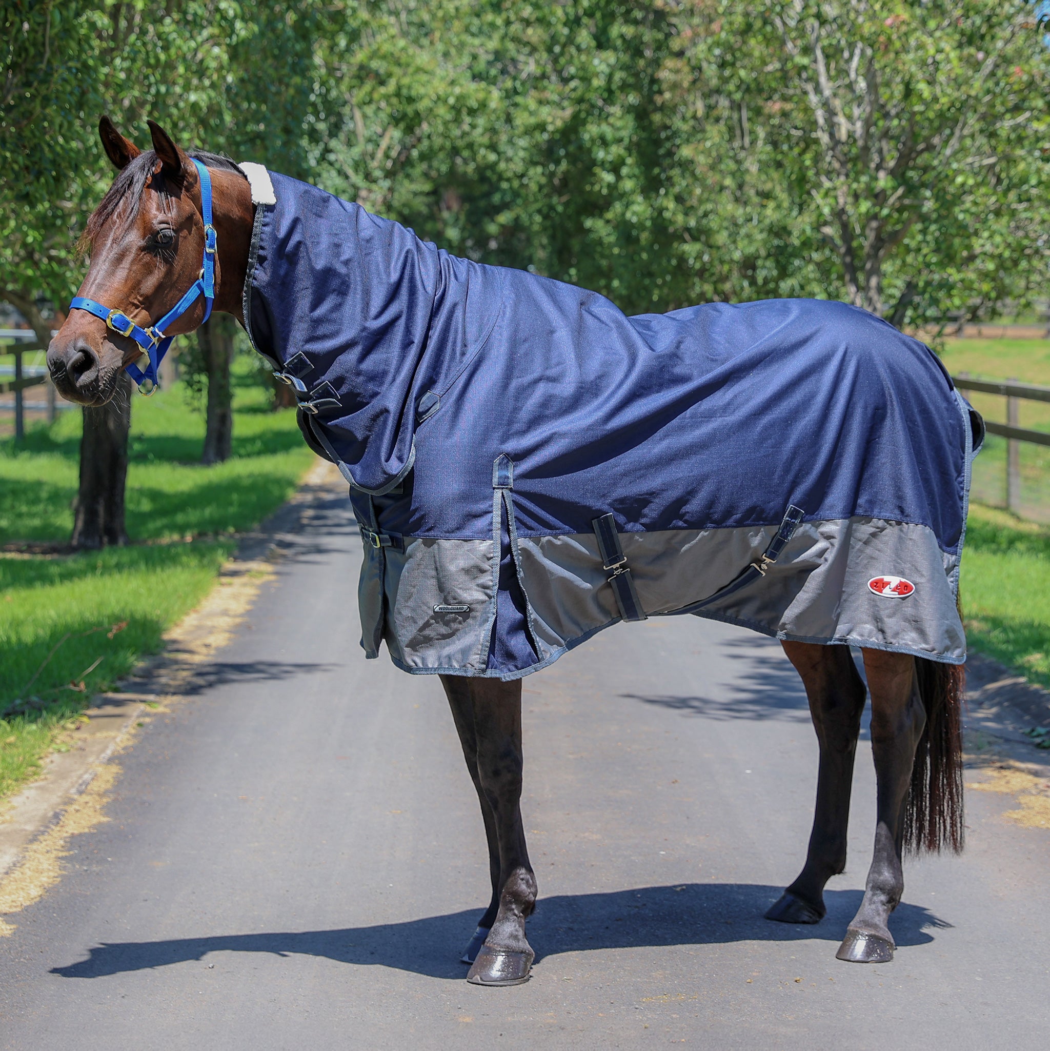 772385_Woolguard.jpg