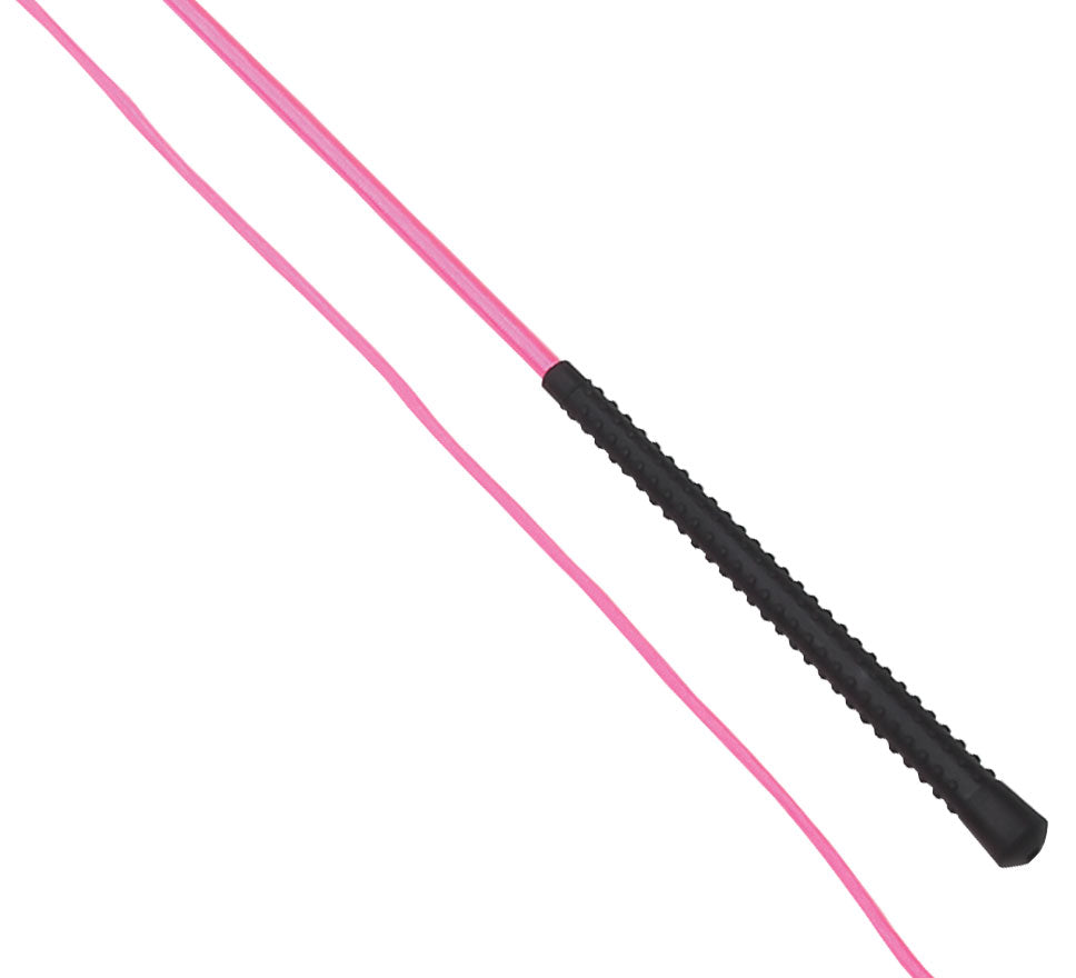 Neon Lunge Whip