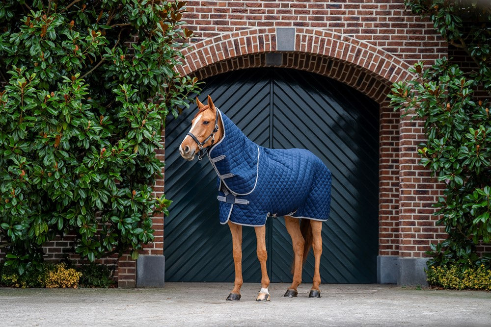 ABRDT2-BJI0-Amigo-Quilted-Stable-Plus-200g.jpg