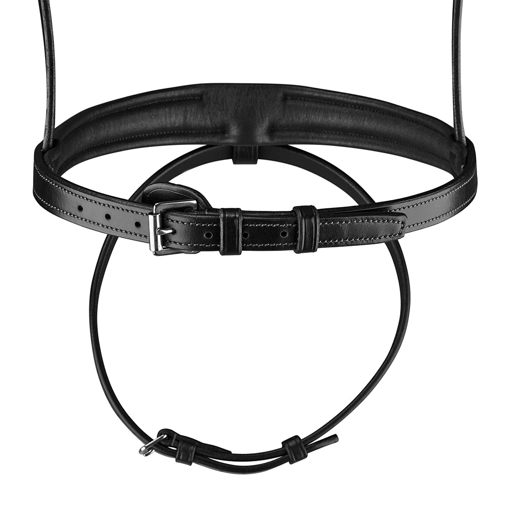 Arena Comfort Bridle