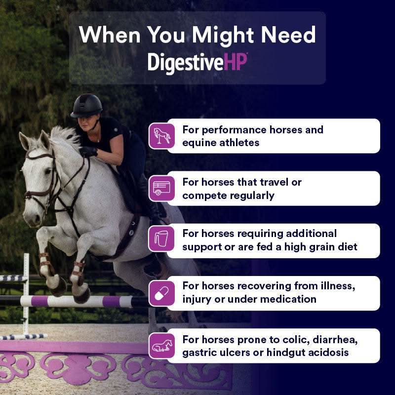 Poseidon Equine Digestive HP Tub