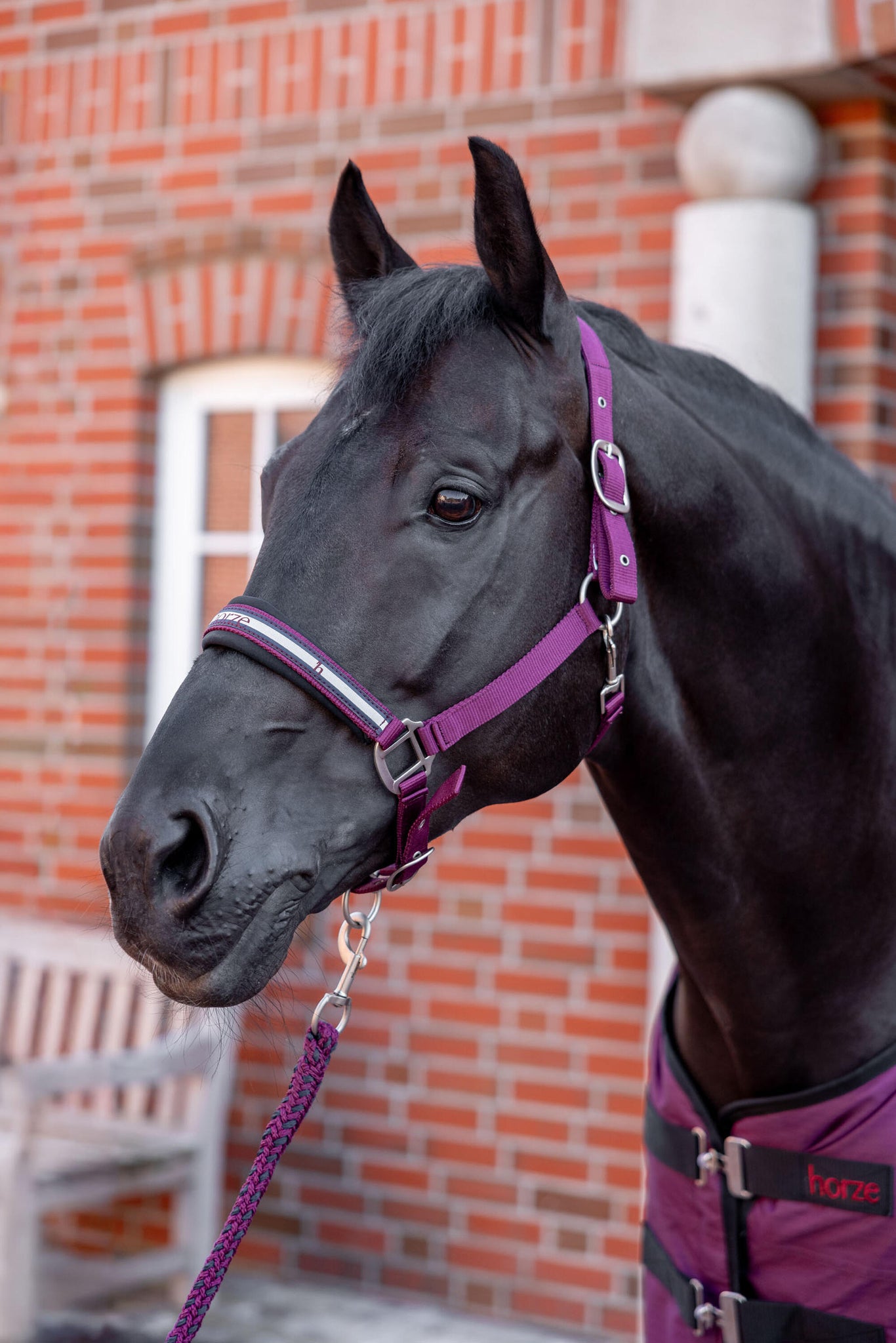 Horze Eternal Gaze Halter Set