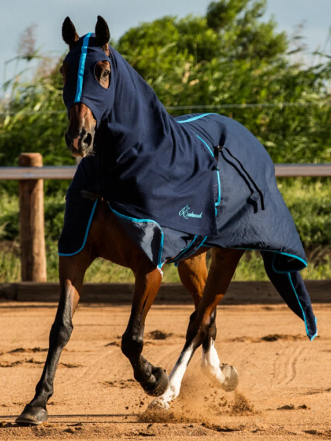 Tack Rug Cotton Horse Rugs - Cotton & Summer Rugs – The Tack Box Saddleworld