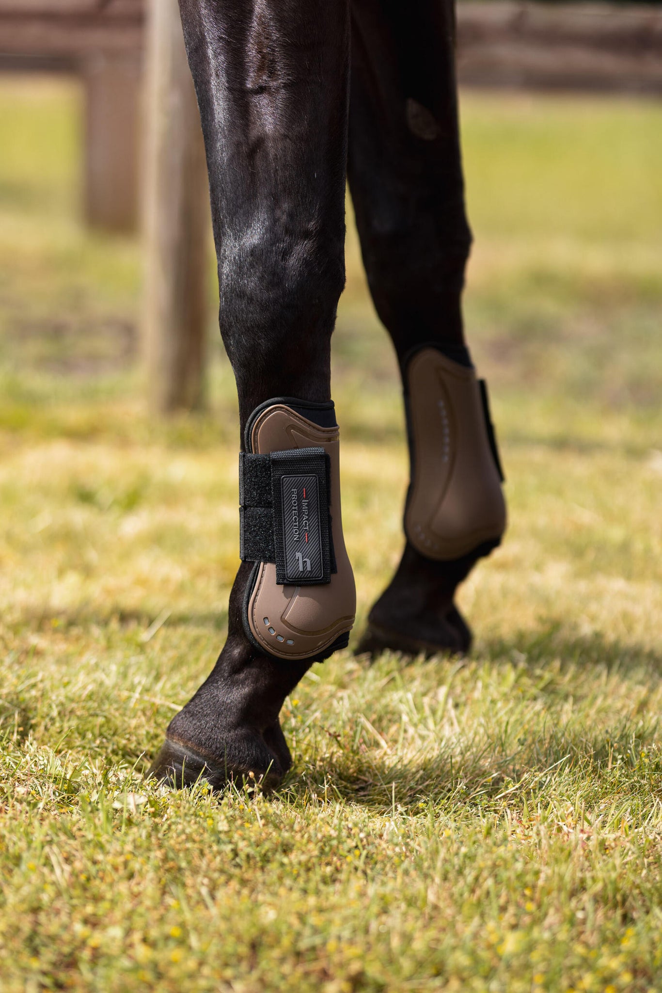 Horze Armour Cool Tendon Boots