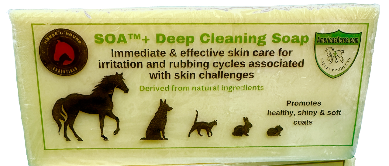 SOA+ Deep Cleaning Soap 300g