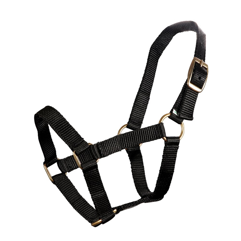 Piccolo Mini PP Halter