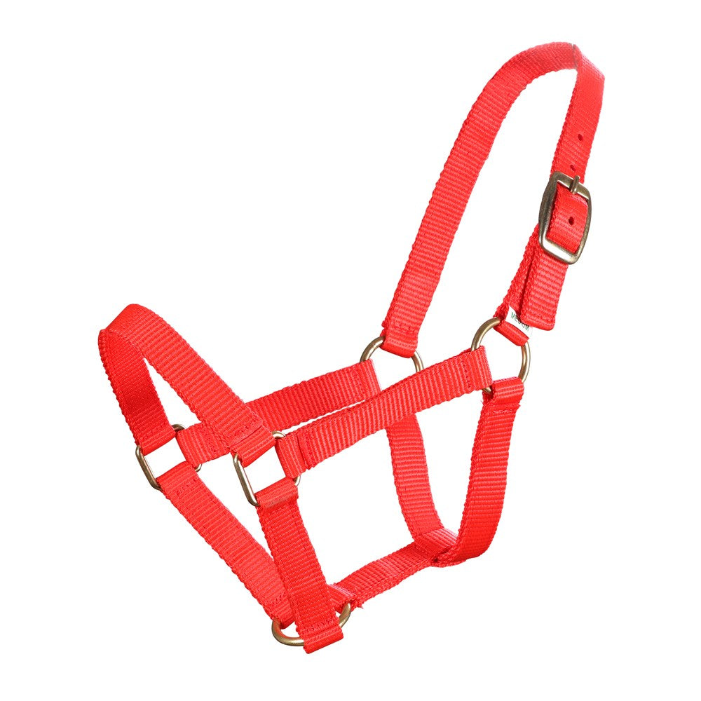 Piccolo Mini PP Halter