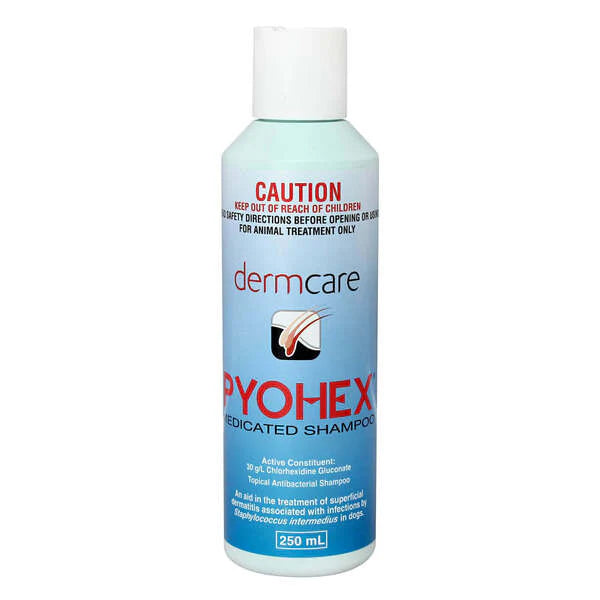 Pyohex-Medicated-Foam-250ml_800x_40eb494a-9049-4afc-82b2-73b5480e83ac.webp