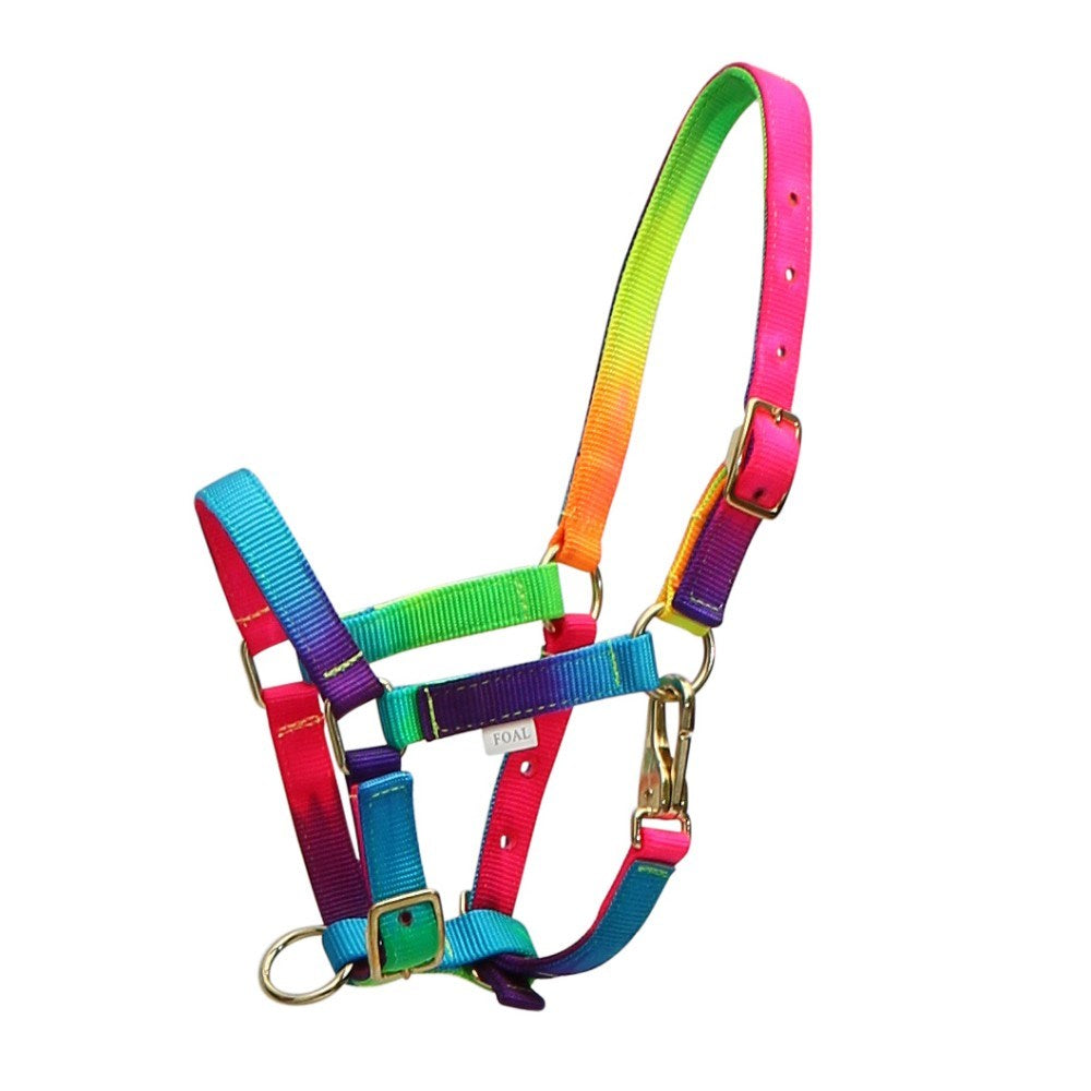 Rancher Rainbow Foal Halter