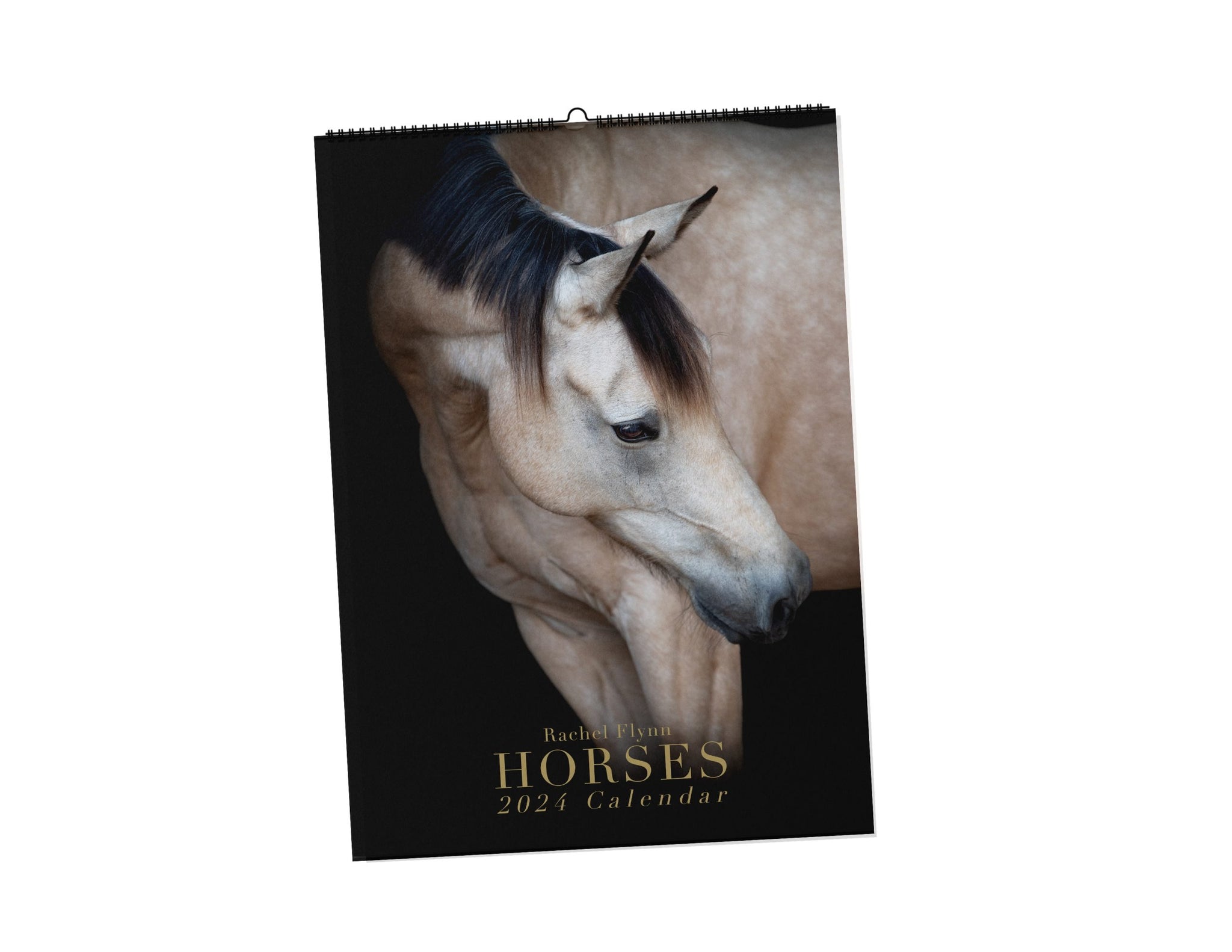 Horse A3 Calendar 2024 The Tack Box Saddleworld   Rachel Flynn Equine Photography Front 2024 Calendar Front Scaled 2048x2048 