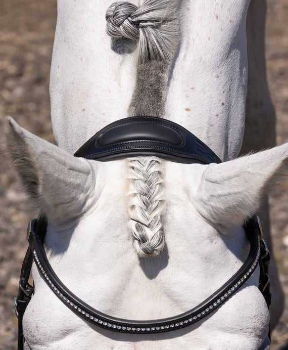 Rivere Snaffle Bridle