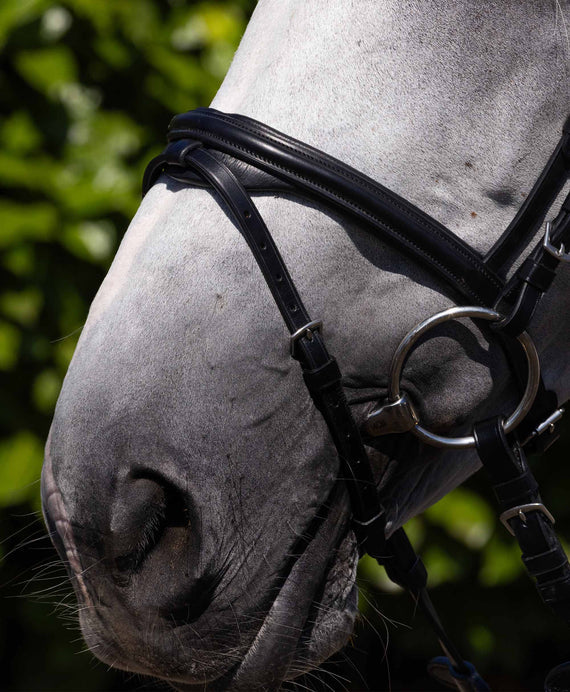 Rivere Snaffle Bridle