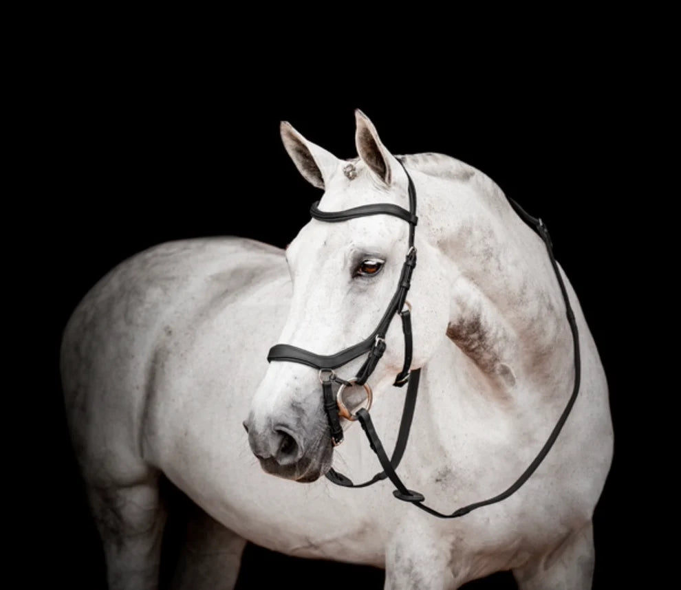 Micklem II Competition Bridle