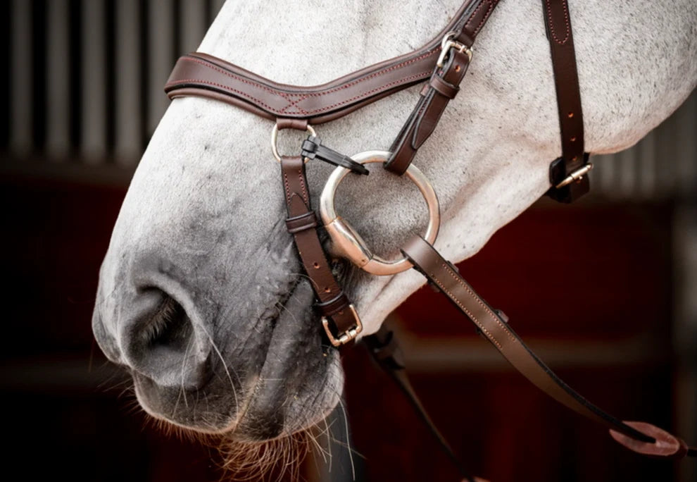 Micklem II Competition Bridle