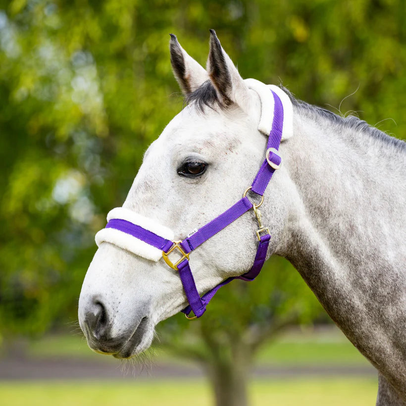 Eureka Fleece Backed Headstall
