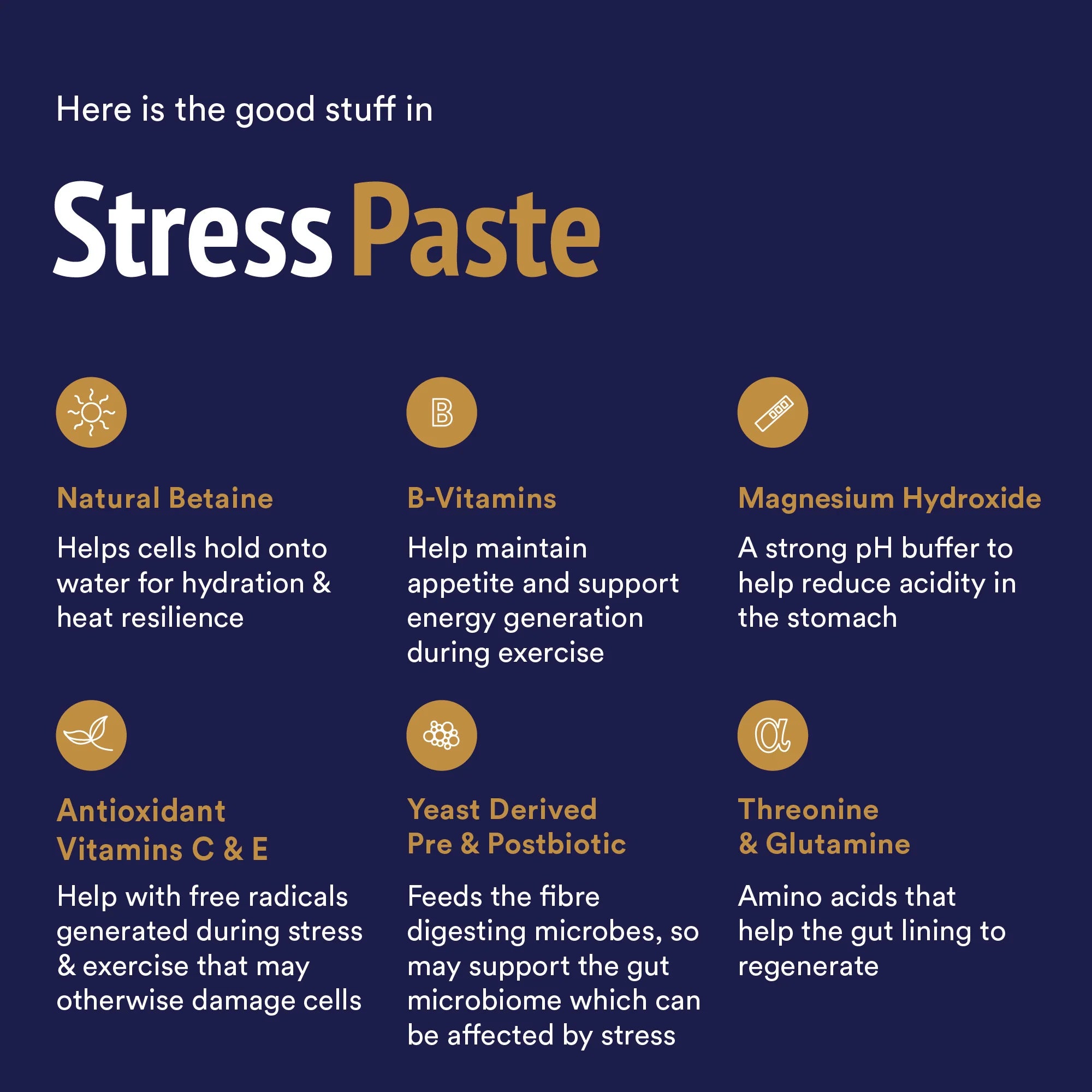Poseidon Equine Stress Paste Pouch