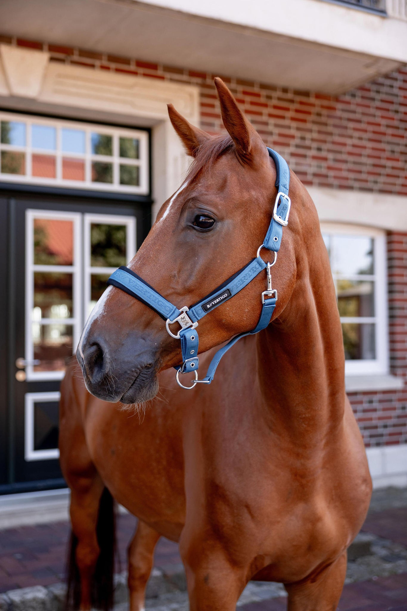 B Vertigo High Altitude Embossed Halter -  Celestial blue