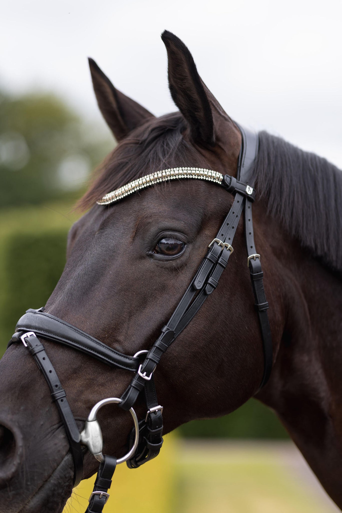 Horze Nature Made Leisure Browband