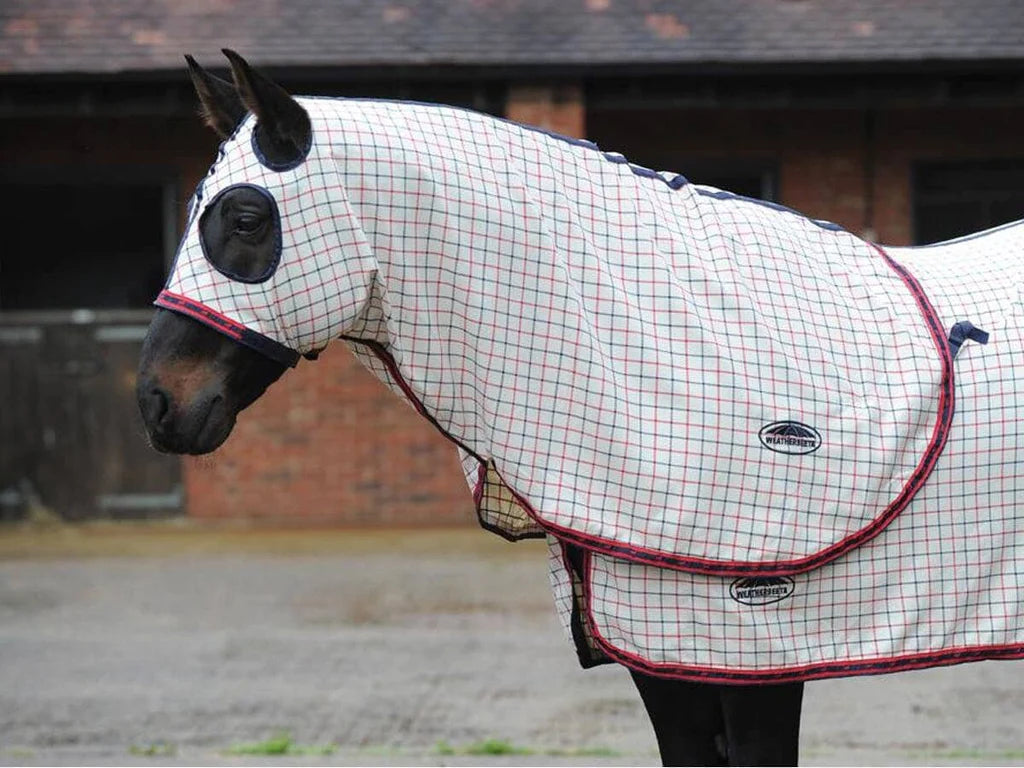 Weatherbeeta Panda Rug Show Rugs – The Tack Box Saddleworld