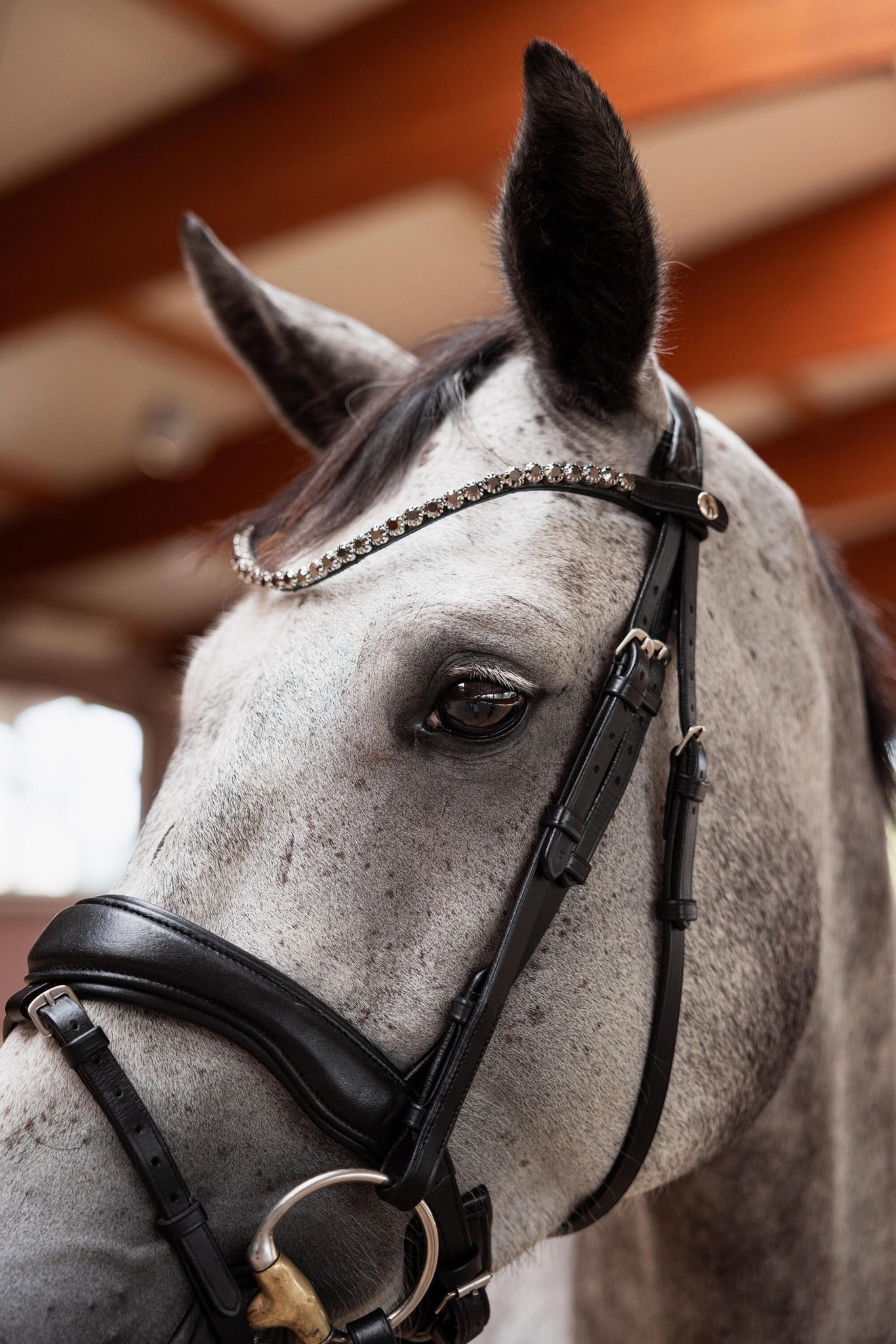 Horze Delémont Slim Browband - Black