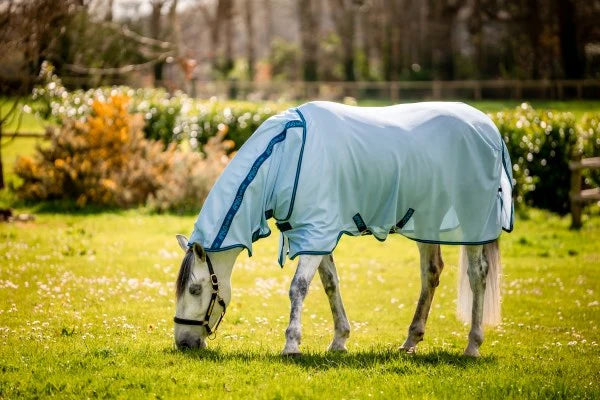 Amigo Bug Rug - Azure Blue