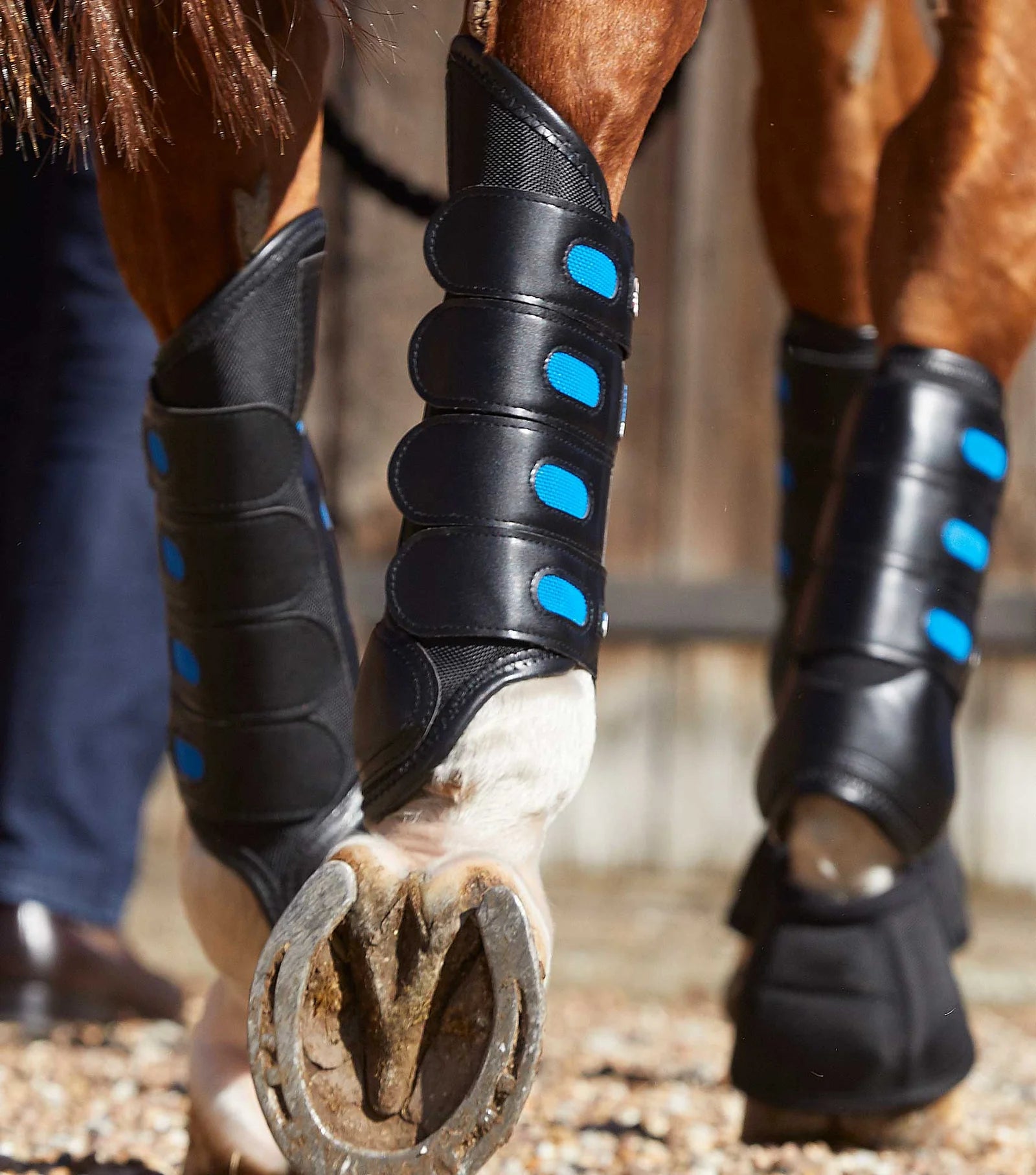 air-cooled-original-eventing-boots-1032hxsb-387052_1600x_cd747e19-6fb3-4c86-9238-edcdd07028b9.webp
